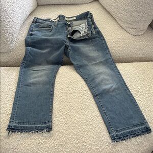 Pilcro and the Letterpress Distressed Blue Ankle Jeans